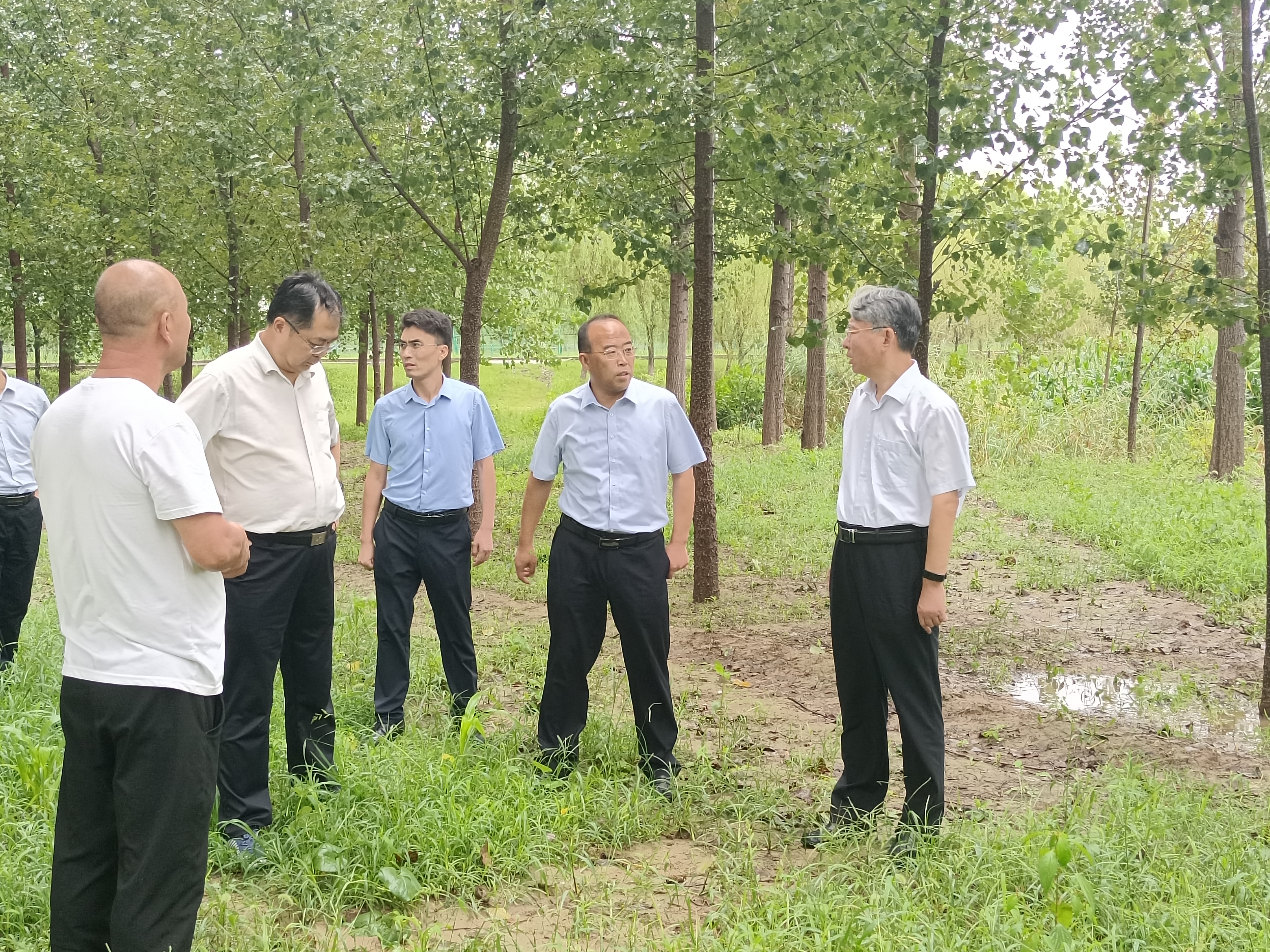 梁山县人民政府 乡镇动态 县委贾书记调研南水北调站.